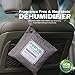 DRIVE Natural Car Air Freshener (Gray) - Best Auto Purifier is Certified Moso Bamboo Activated Charcoal 220g - Unscented Deodorizer, Drying Bag Removes Allergens & Moisture - Prevents Bacteria, Mildew