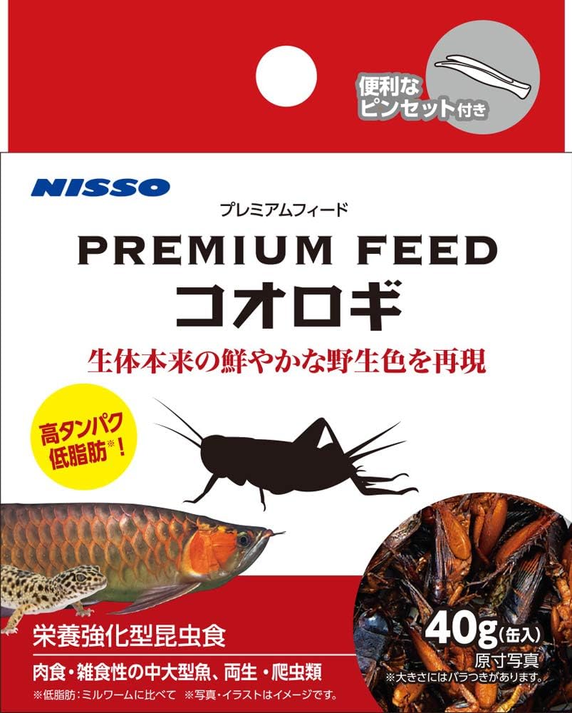 Amazon ニッソー プレミアムフィード コオロギ 40g ニッソー 餌 通販