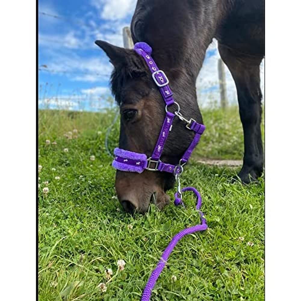 Equipride Horse Print Padded Nylon Headcollars With Matching Lead Rope Purple (Full)