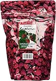 Trader Joe's Freeze Dried Raspberries Unsweetened & Unsulfured 1.2oz