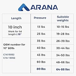 ARANA C1615052 10 inch 80LB Gas Spring