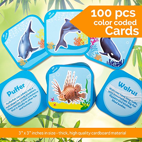 AR Animal Flash Cards. Introduction to Dinosaurs, Land and Sea Animals, Birds and Insects. Interactive 3D Game for Endless Discovery, Storytelling and Sounds