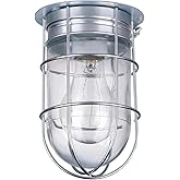 Canarm Outdoor Silver Barn Light, Industrial Wall or Ceiling Mount Sconce, 7-Inch Damp Rated Fixture for Porch, Patio, or Ent