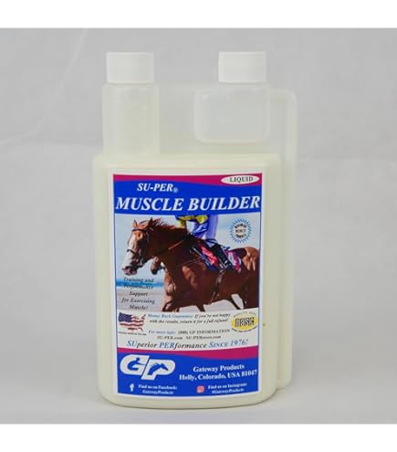 l carnitina para caballos Amazon.com: Nupafeed L-Carnitina Líquido Diario para Caballos 1 Litro :  Productos para Animales