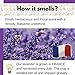 WNOPA Massage Oil - Sensual Relaxing 02 French Lavender in Sweet Almond and Grapeseed Oils No Artificial Ingredients - Aluminium Bottle - Made in Canada - 8.5 oz