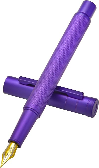 Hongdian erofa Purple Forest Bent Nib Fude Pen with Converter Gift Box Set