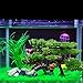 MMdex Artificial Green Tree Plastic Plant Decor for Aquarium Fish Tank, Bonsai for Hotel Rockery Ornament