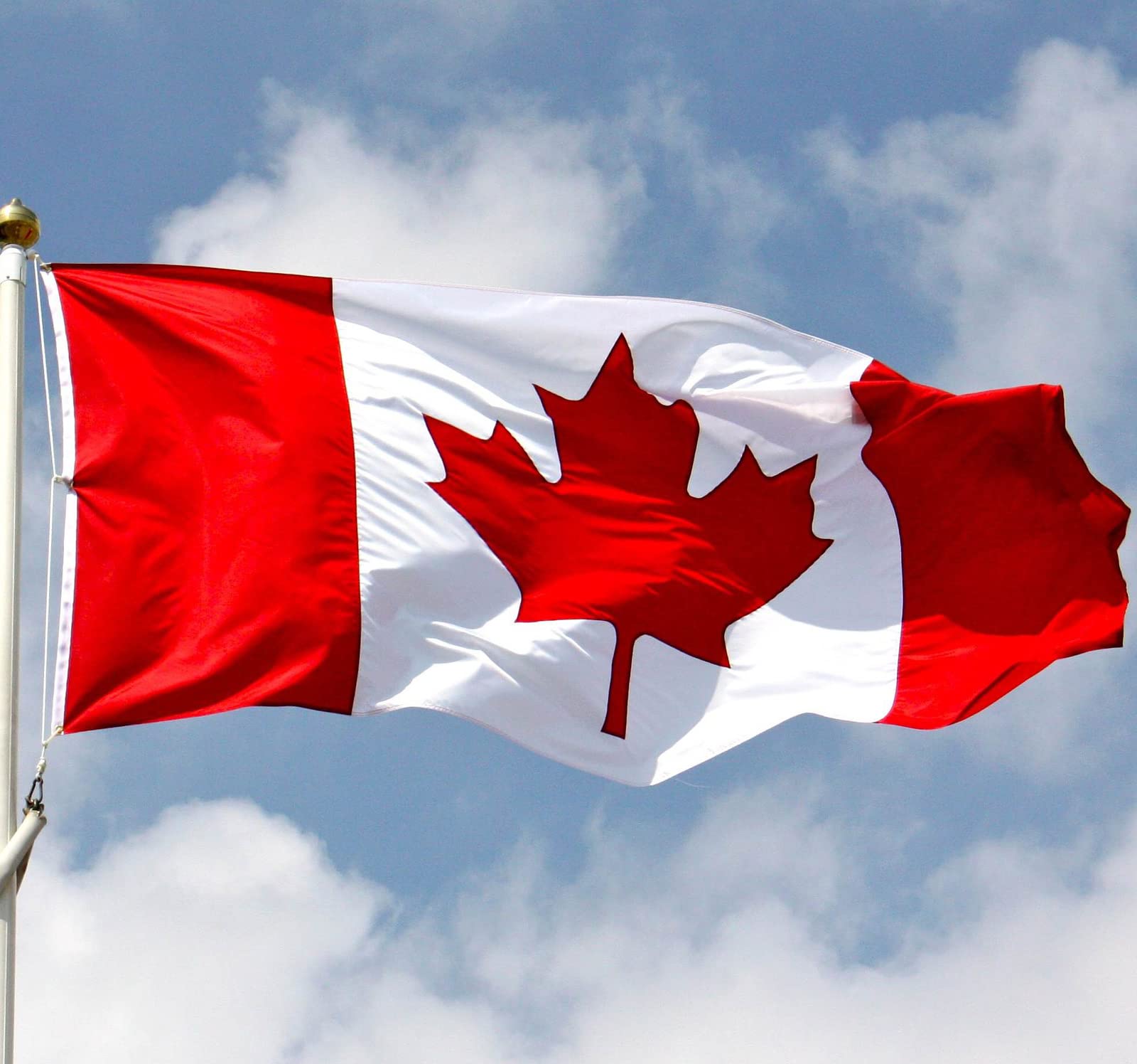 Cosymate Canada Flag - Canadian Flag - Drapeau du Canada - Drapeau Canadien 3x5ft with Brass Grommets, Vivid Color, UV Fade Resistant, Canvas Header, Double Stitched, 90x150cm