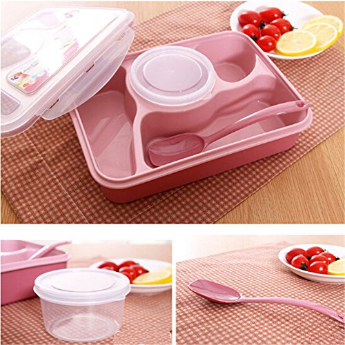 Minidiva Lunch Bento BoxLeakproof Microwave and Dishwasher Safe Lunch