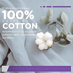 1000 Thread Count King Sky Blue Pillowcases Set of