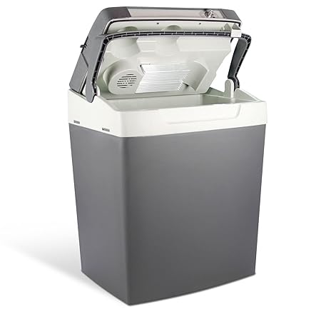 Amazon.es: AEG Automotive 97252 Nevera portátil KK29, nevera ...