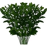 GlobalRose 60 Ruscus Stems - Fresh Flowers Greens Perfect for Wedding