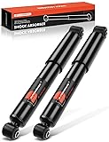 A-Premium Rear Shock Absorber Struts Compatible