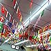 G2PLUS International Flags, 41 Feet 8.2'' x 5.5'' World Flags, 50 Countries Olympic Flag Pennant Banner for Bar, Party Decorations, Sports Clubs, Grand Opening, Festival Events Celebration