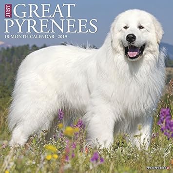 great pyrenees cost