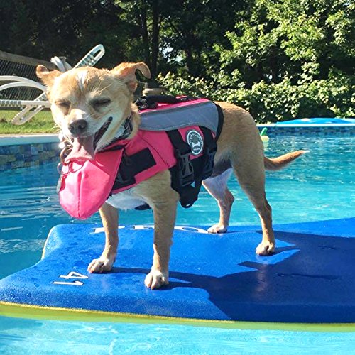 Vivaglory Dog Life Jackets with Extra Padding Pet Safety Vest for Dogs