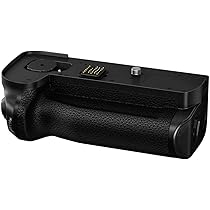 Amazon.com : Panasonic Authentic LUMIX S Series Vertical Battery 