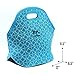 Merkapa Cute Design Waterproof Neoprene Lunch Tote Cooler Bag (Design 5)