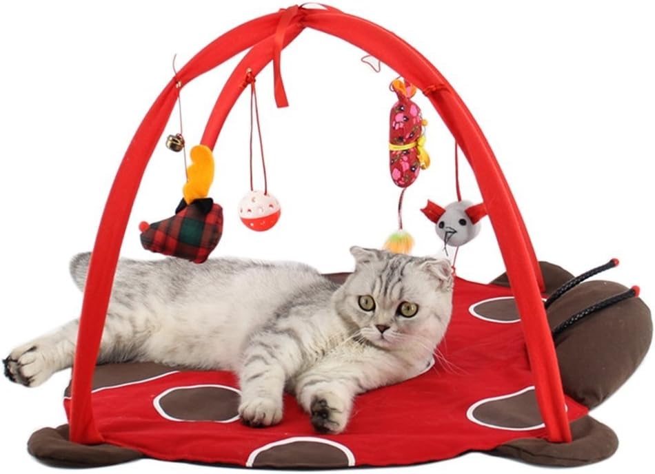 Tapis De Jeu Et D Activite Mobile Freeas Pour Chien Ou Chat Lit Rembourre Pour Animal Domestique Avec Jouets Suspendus Clochettes Balles Et Souris Amazon Fr Animalerie
