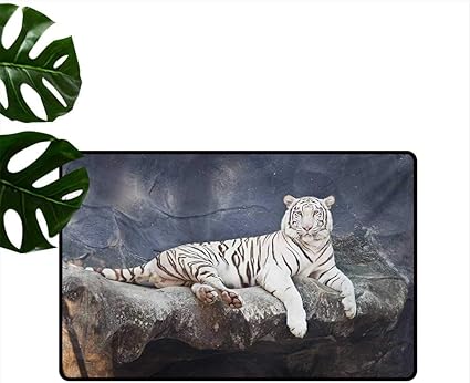 Laure Tapis De Sol Decoratif Domestique Chat Albinos Assis Sur Un Rocher Sublime Nature Ous Animaux Especes Menacees Amazon Fr Cuisine Maison