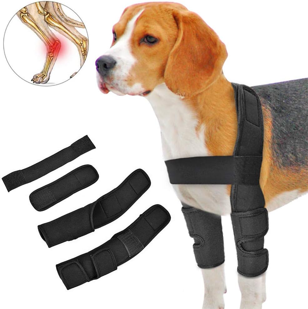 8 Mejores Aparato Ortopédico Piernas Para Amdar Bien 2020