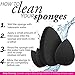 Aesthetica 4 Piece Beauty Sponge Blender Set - Includes Original Beauty Sponge, Body Sponge & Two Mini Makeup Sponges