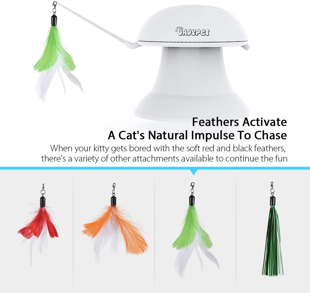 DADYPET Cat Laser Toy, 2 in 1 Automatic Non-Handheld Cat Chaser Toy and Interactive Feather Toy, Auto Rotating Light Cat Chaser Toy for Cats and Dogs : Pet Supplies