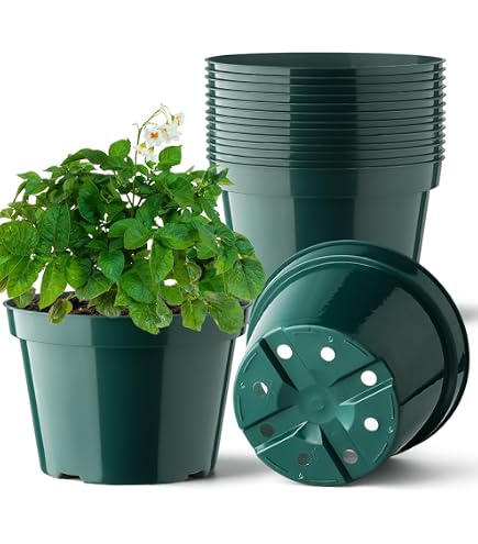 thumbnail image 2 of Koba 4.5 Inch Green Round Nursery Pots | Heavy-Duty Plastic | African Violet Azalea | 1.25 Pint | Made In USA 2 of 5