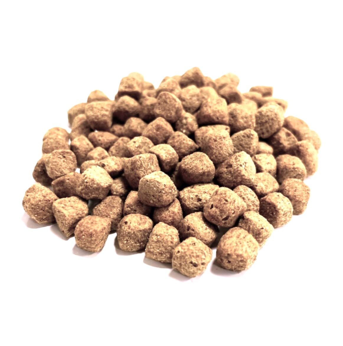 Mini Mixer Dog Biscuits 1kg Floating Fish Bait Our No 1 Selling Float Fishing Bait LGVM