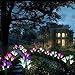 Outdoor Solar Garden Stake Lights - Premium 2 Pack Solar Powered Lights with 8 Lily Flowers, Multi-Color Changing LED Solar Decorative Lights for Garden, Patio, Backyard Decorations (Purple and White)
