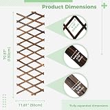 Toyosport Expandable Wooden Trellis Panels 2 Pcs Wall Garden Indoor Outdoor view 4