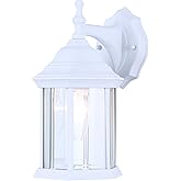 Canarm Classic 1-Light Outdoor Lantern, White Wall Mounted with Clear Beveled Glass Durable Weather-Resistant Outdoor Lightin