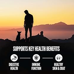ORIJEN Amazing Grains High Protein Dry Dog Food