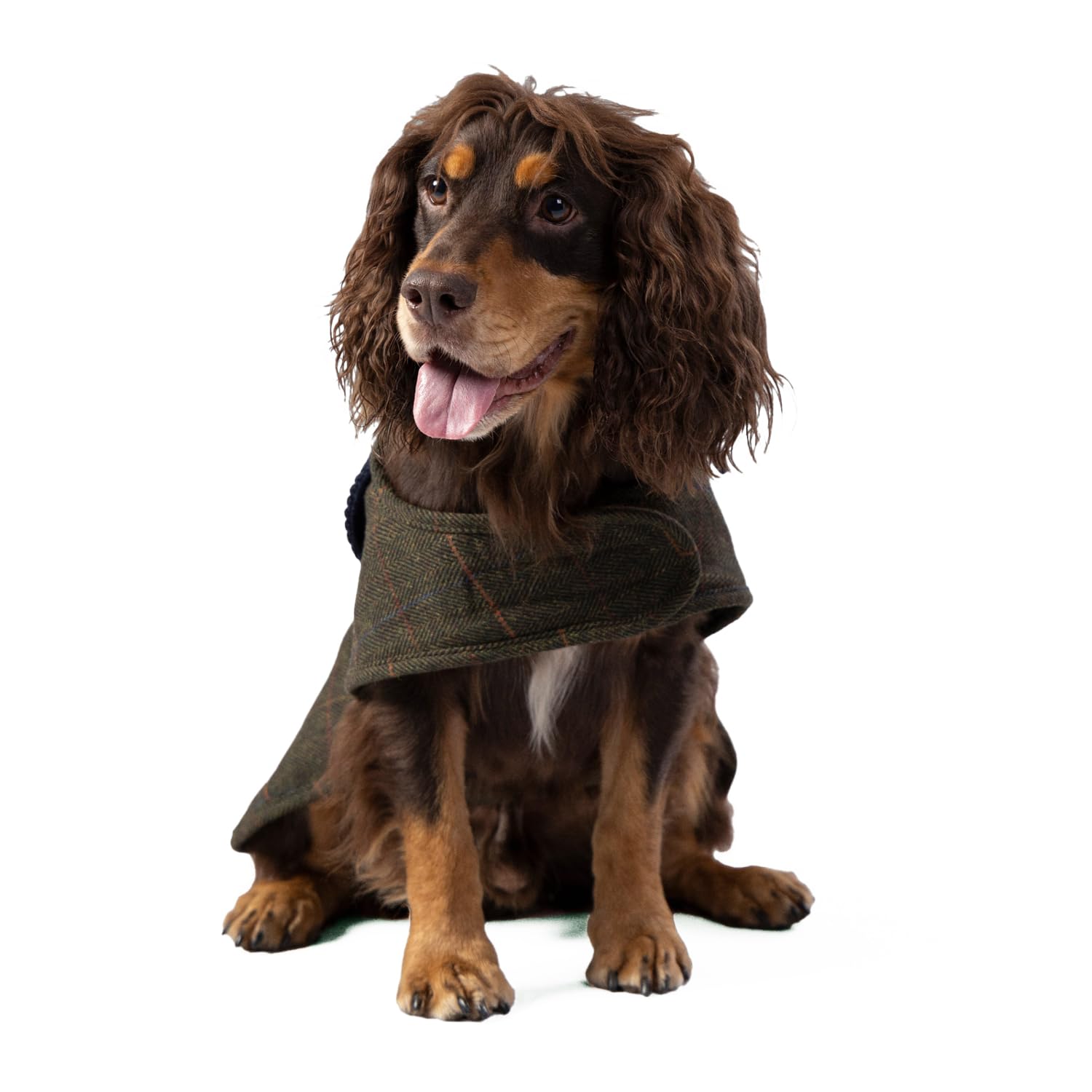 HUGO & HUDSON x HACKETT Tweed Dog Jacket Coat Corduroy Collar, Dark Green Checked Herringbone M50