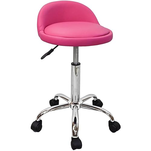 DevLon NorthWest Salon Stool with Back Rest Saddle Hydraulic Spa Stool (PINK)