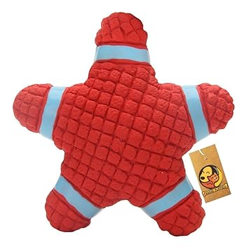 Foodie Puppies Non-Toxic Soft Latex Interactive Training Fetch and Play Squeaky Bouncing and Floating Chew Toy for Puppies and Dogs (Squeaky Starfish, Medium)