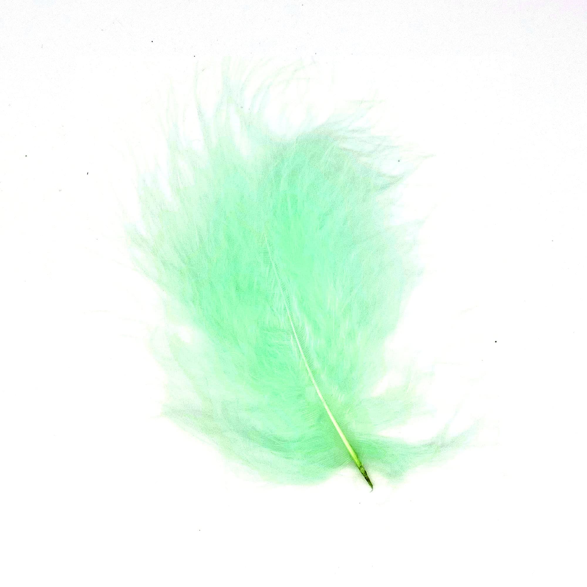 Marabou Feathers 20 Per Pack, 10-15 cm, Fluffy & Soft, 26 Colours (Mint Green - 20 Pack)