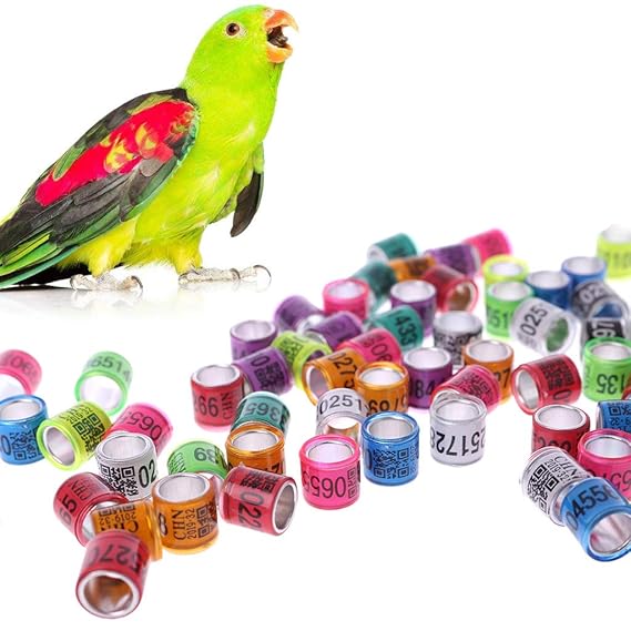 Autone Taubenringe/Beinringe für Taube, 20 Stück