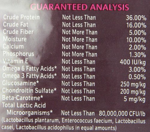 Wellness CORE Natural Grain Free Dry Dog Food, Small Breed, 4-Pound Bag - //medicalbooks.filipinodoctors.org