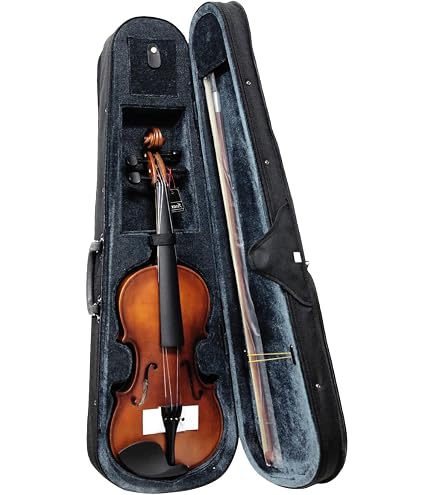 VIOLINO MICHAEL TRADICIONAL VNM40 4/4 TRAD : Amazon.com.br