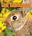 Good Rabbitkeeping (Good Petkeeping) by Sue Fox