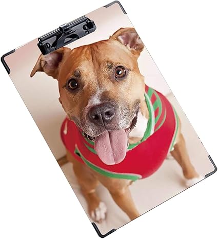 Amazon クリップボード クリップファイル ファイルボード舌を突き出てピット ブル犬 1個 クリップファイル ボード 文房具 オフィス用品