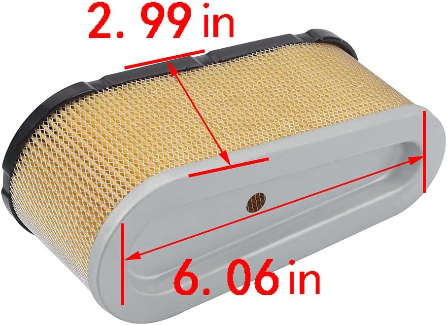 Panari 799728 Carburetor + 496894S Air Filter Tune Up Kit for 498027 498231 499161 494502 494392 495706 498134 Craftsman Murray Lawnmower Lawn Mower : Garden & Outdoor