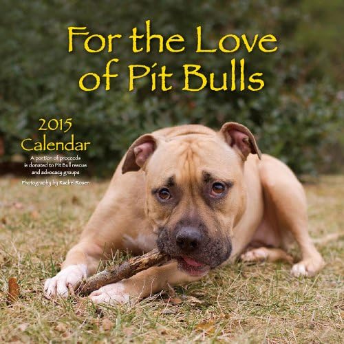 For the Love of Pit Bulls 2015 Calendar Calendar – July 15, 2014