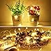 Fairy Lights Battery Operated Starry Firefly Silvery Wire String Lights 15 Pack 7.2ft 20 LED Jar Table Centerpiece for Wedding Christmas Halloween Party Decoration (Warm White)