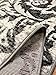 Antep Rugs Kashan King Collection Floral Polypropylene Indoor Area Rug (Grey/Black, 5' x 7')