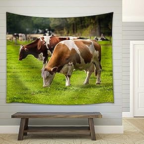 Cows on Meadow.Grazing Calves - Fabric Wall Tapestry Home Decor - 51x60 inches