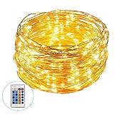 Weico LED String Lights 99ft 300 LEDs Dimmable with Remote Control, Copper Wire Starry Lights for DIY Bedroom, Patio, Garden, Gate, Yard, Party, Wedding (Warm White)