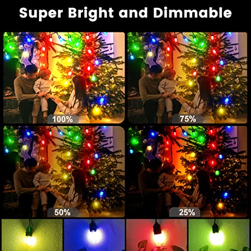 QQARORSUN Colored String Light Outdoor Remote Control, Dimmable Waterproof &Shatterproof E26 Bulb String, 15 Sockets Linkable Commercial Grade Hanging 48ft String Light RGB for Café, Backyard, 1-Pack