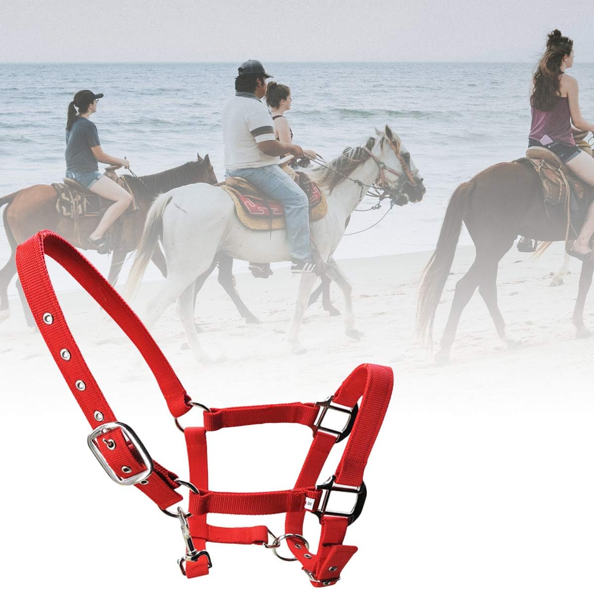 Queen.Y Horse Halter Durable Thickened Adjustable Horse Head Collar Horse Riding Racing Equipment: Sports & Outdoors